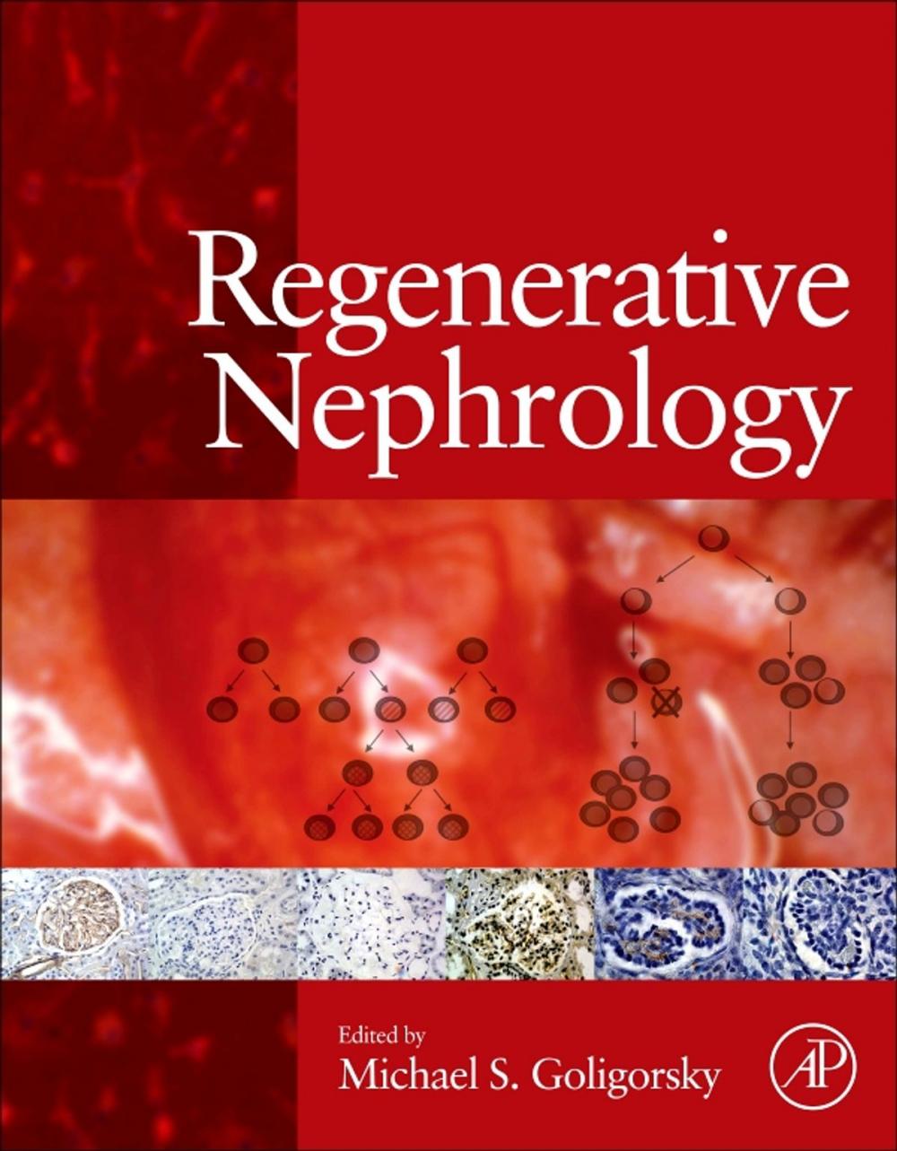 Big bigCover of Regenerative Nephrology