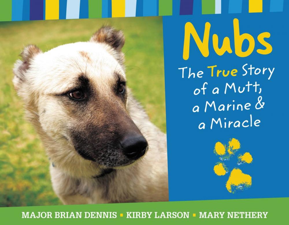 Big bigCover of Nubs: The True Story of a Mutt, a Marine & a Miracle