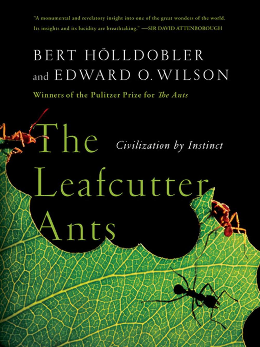 Big bigCover of The Leafcutter Ants: Civilization by Instinct
