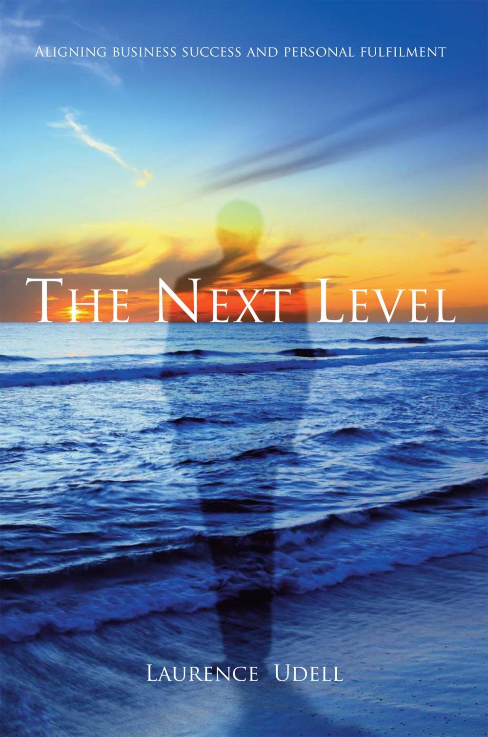 Big bigCover of The Next Level