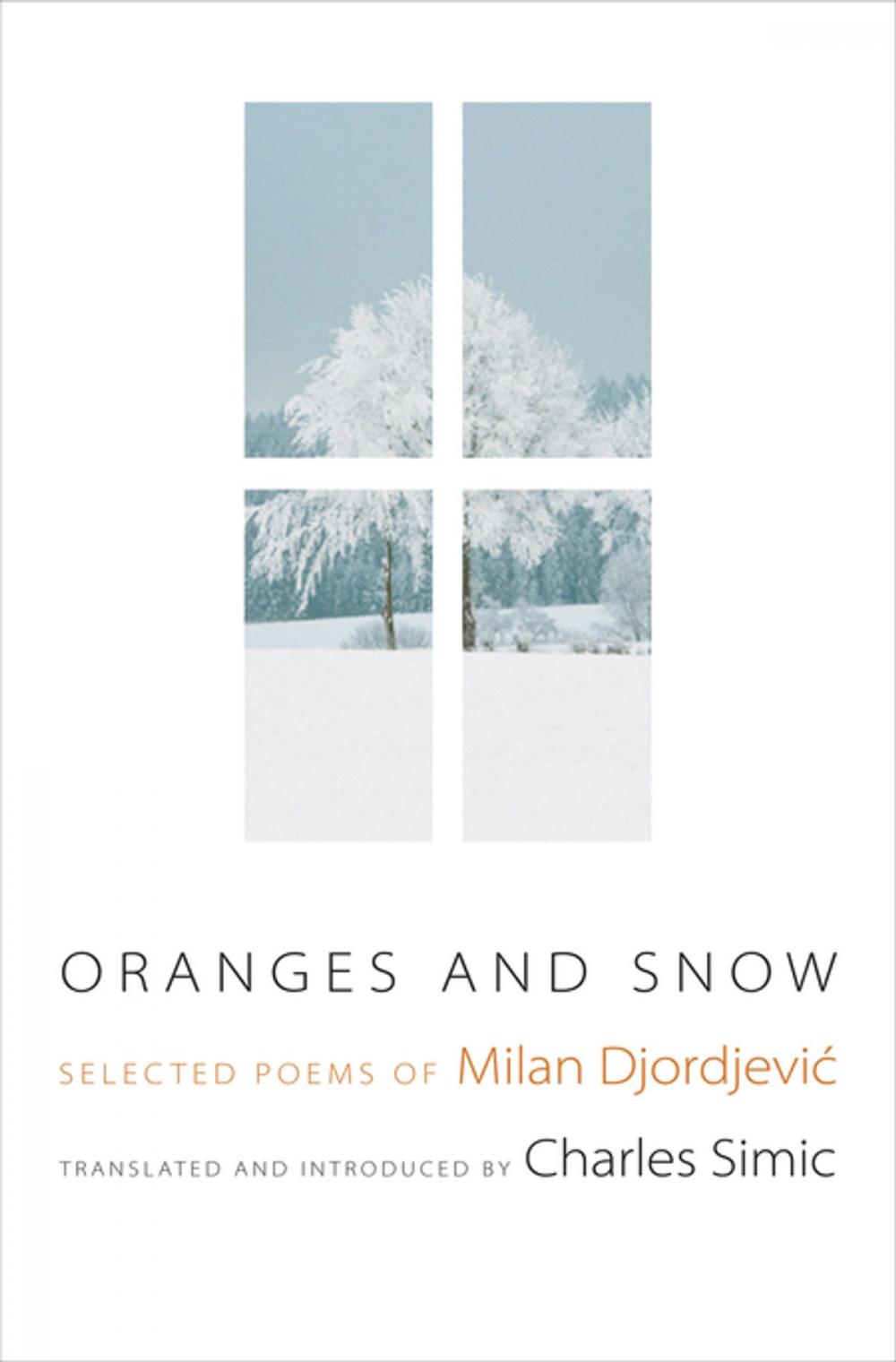 Big bigCover of Oranges and Snow