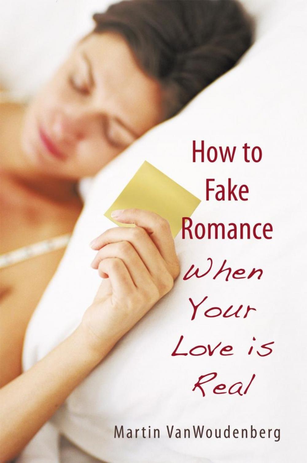 Big bigCover of How to Fake Romance