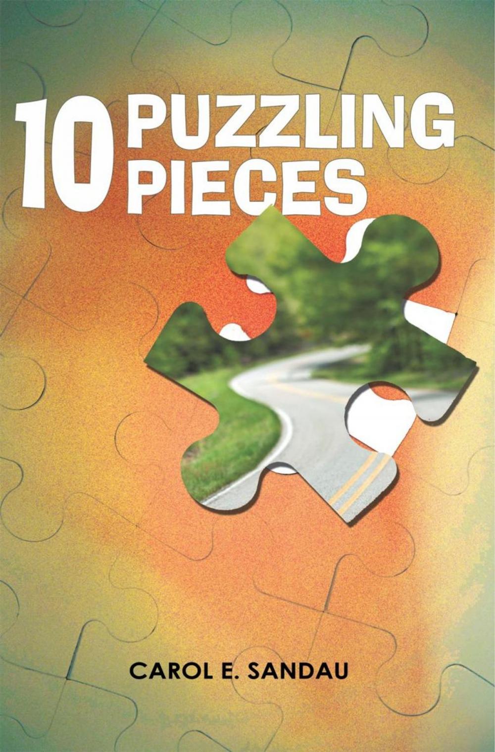 Big bigCover of 10 Puzzling Pieces