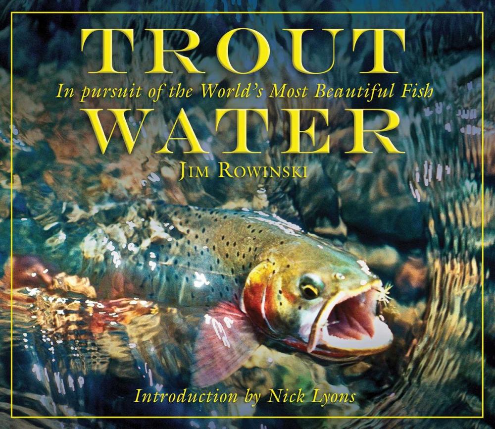 Big bigCover of Trout Water