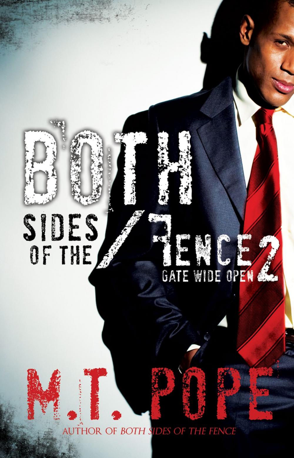 Big bigCover of Both Sides of the Fence 2: