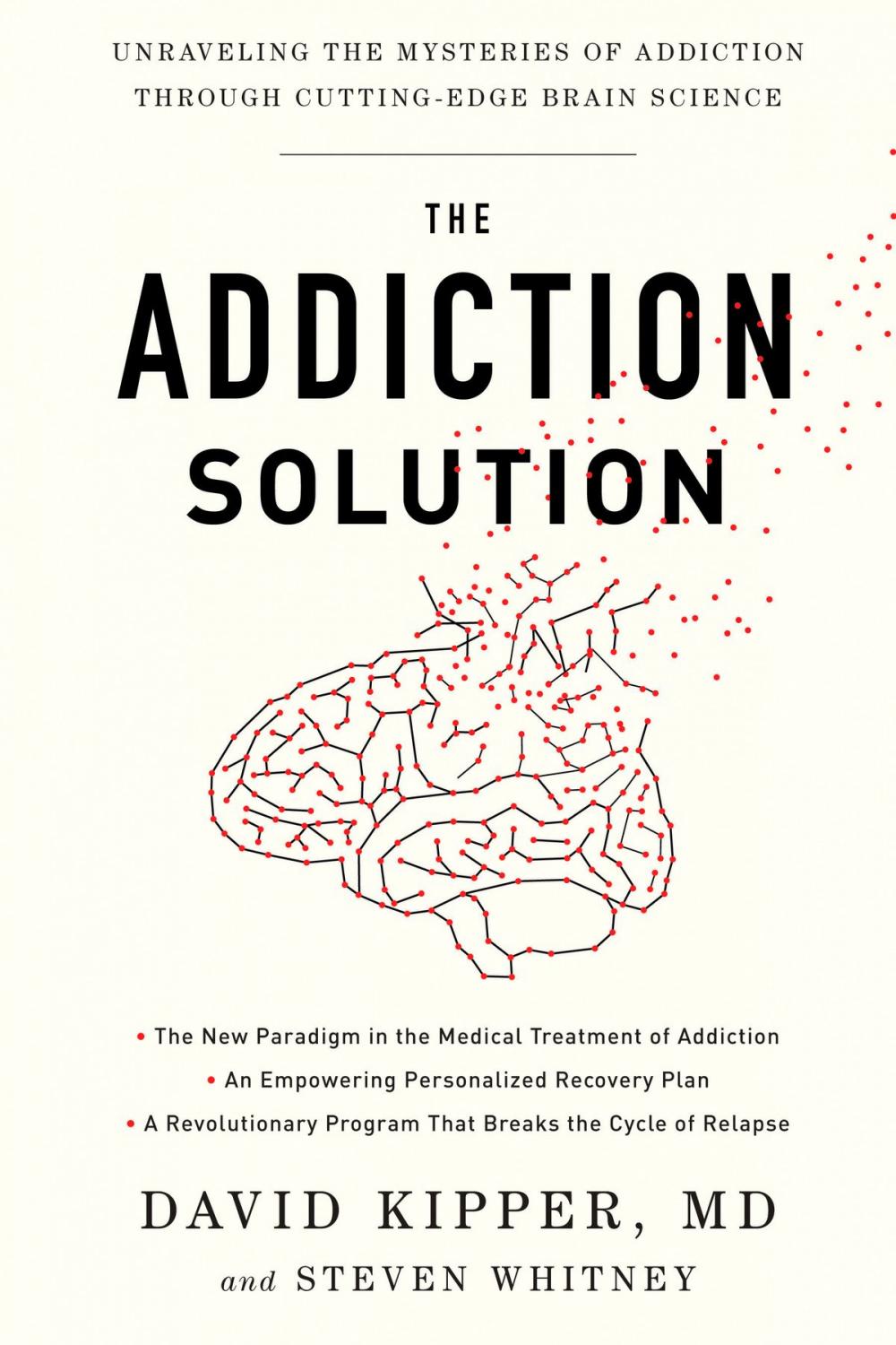 Big bigCover of The Addiction Solution