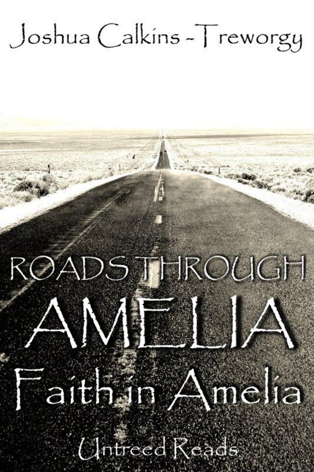Big bigCover of Faith in Amelia: Roads Through Amelia #3