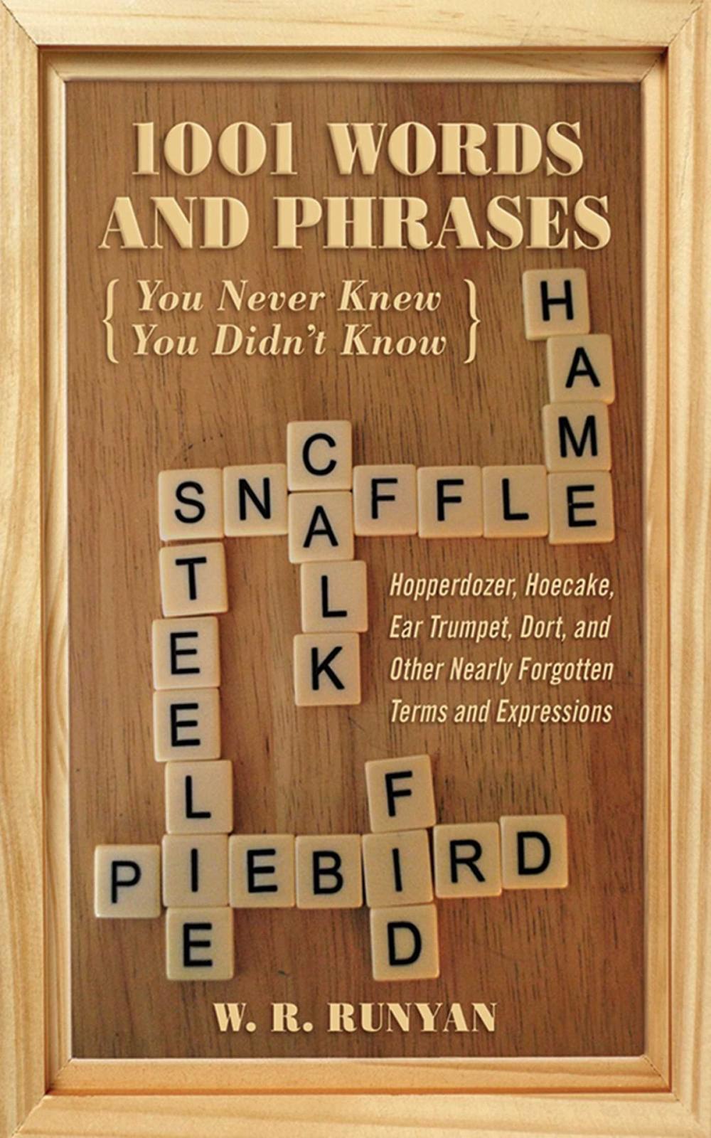 Big bigCover of 1,001 Words and Phrases You Never Knew You Didn't Know