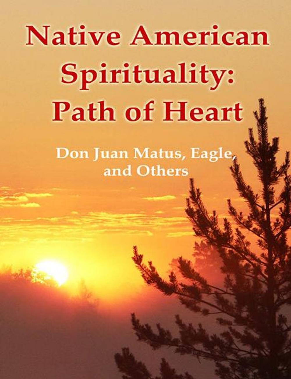 Big bigCover of Native American Spirituality: Path of Heart