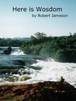 Cover of the book Here is Wosdom by Robert Jameson