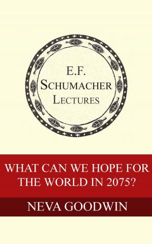 Cover of the book What Can We Hope for the World in 2075? by Arthur Zajonc, Hildegarde Hannum