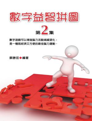 Cover of the book 數字益智拼圖第2集 by 蘇偉馨