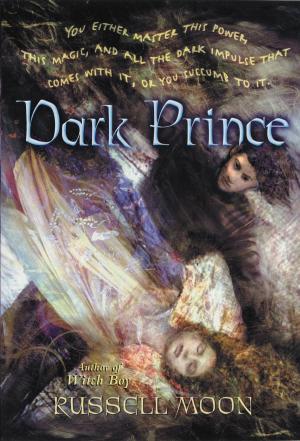 Cover of the book Witch Boy: Dark Prince by Jennifer Li Shotz