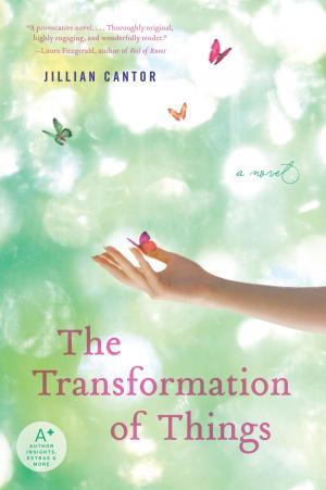 Book cover of The Transformation of Things