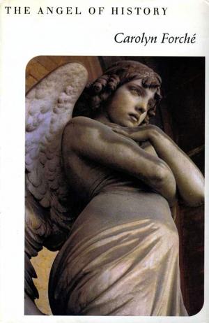 Cover of the book The Angel of History by Jane O'Connor