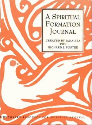 Cover of the book A Spiritual Formation Journal by Tom Stella