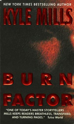 Cover of the book Burn Factor by Karen Robert