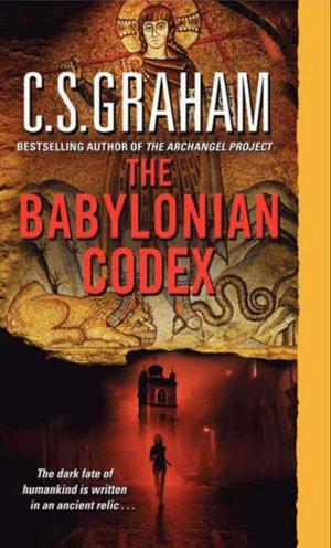 Cover of the book The Babylonian Codex by Jason Christopher Hartley