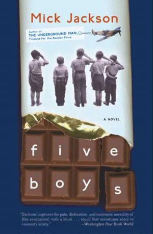 Cover of the book Five Boys by Jeffrey M. Schwartz, Annie Gottlieb