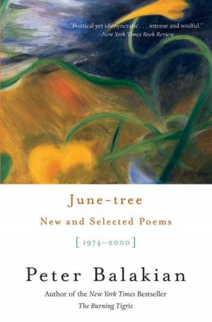 Book cover of June-tree