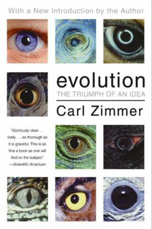 Cover of the book Evolution by Katia Lief