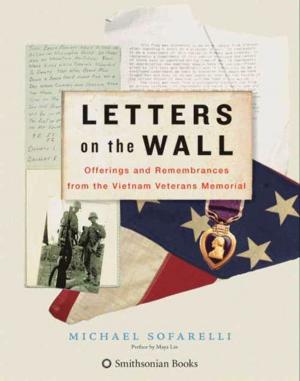 Cover of the book Letters on the Wall by Raymond E Feist