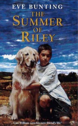 Cover of the book The Summer of Riley by Susanna De Vries
