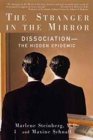 Cover of the book The Stranger in the Mirror by Patrick McCabe