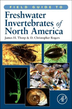Cover of the book Field Guide to Freshwater Invertebrates of North America by William M. Ulrich, Philip Newcomb