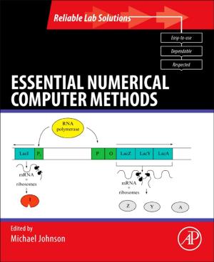 Cover of the book Essential Numerical Computer Methods by Kathryn Dilworth, Laura Sloop Henzl