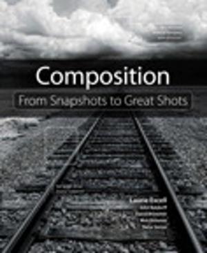Cover of the book Composition: From Snapshots to Great Shots by Jazib Frahim, Omar Santos