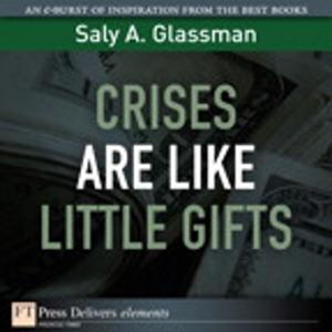 Cover of the book Crises Are Like Little Gifts by David G Komatz