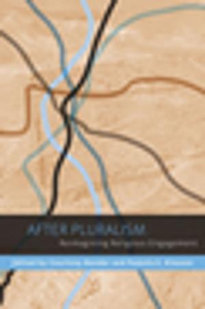 Cover of the book After Pluralism by Joseph Margolis