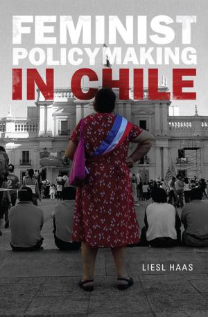 Cover of the book Feminist Policymaking in Chile by James Perrin Warren