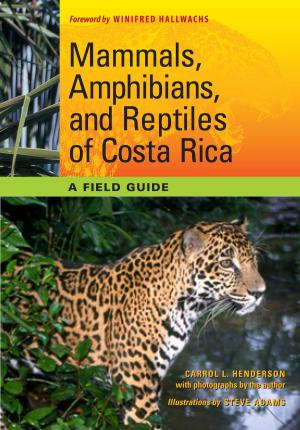 Book cover of Mammals, Amphibians, and Reptiles of Costa Rica