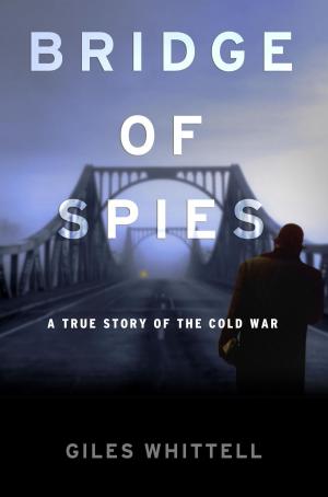 Cover of the book Bridge of Spies by K.T. Dale