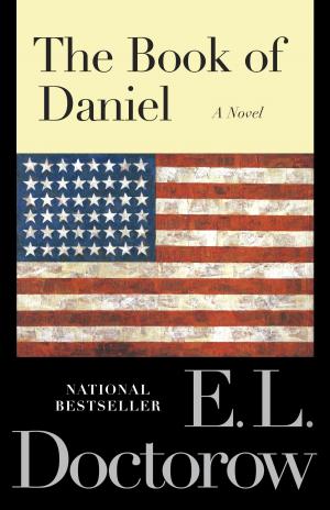 Cover of the book The Book of Daniel by Mike Greenberg