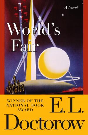 Cover of the book World's Fair by Aaron Allston