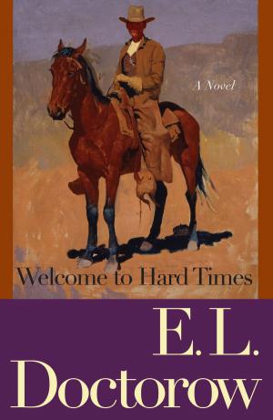 Cover of the book Welcome to Hard Times by Louis Begley