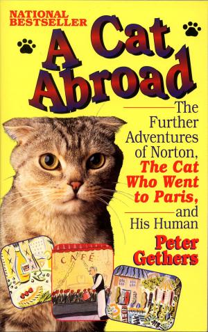 Cover of the book A Cat Abroad by Todd J. McCaffrey