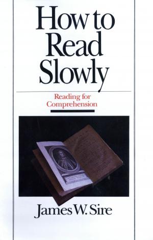 Cover of the book How to Read Slowly by Michael B. Hyde
