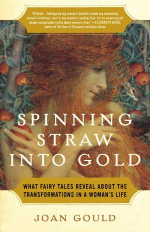 Cover of the book Spinning Straw into Gold by Lia Habel