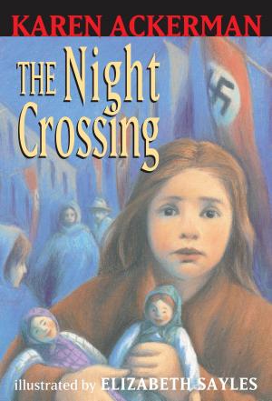Cover of the book The Night Crossing by David L. Harrison