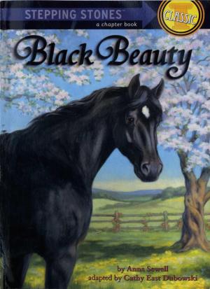 Cover of the book Black Beauty by Heidi Garrett
