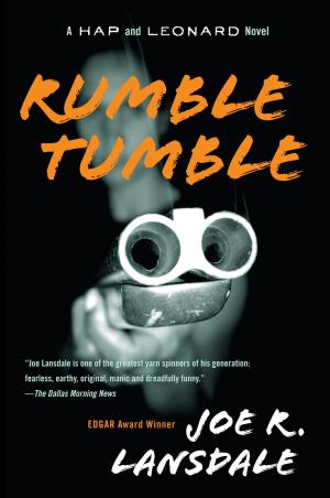 Cover of the book Rumble Tumble by David S. Reynolds
