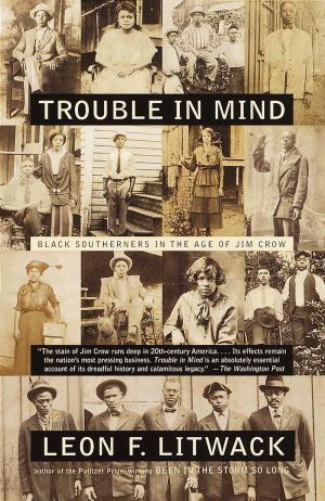 Cover of the book Trouble in Mind by Ivana Lowell