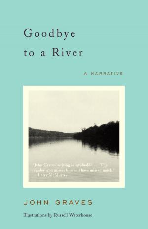 Cover of the book Goodbye to a River by Sandra Cisneros