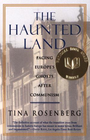 Cover of the book The Haunted Land by Anne Tyler