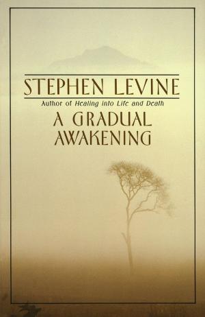 Cover of the book A Gradual Awakening by Ted Chiang