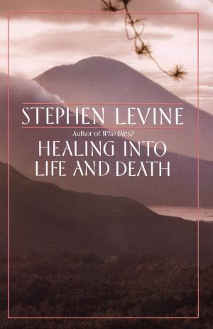 Cover of the book Healing into Life and Death by ISKCON Revival Movement